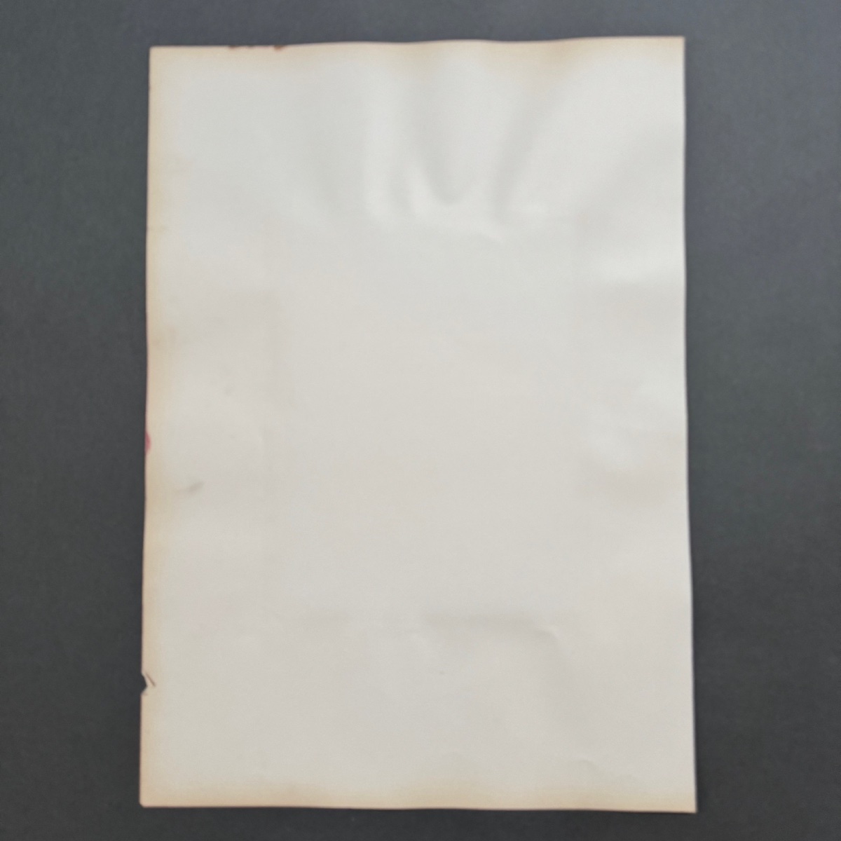 Photo albumine contrecollée sur carton représentant l'Hercule Farnèse XIXe -photo-2