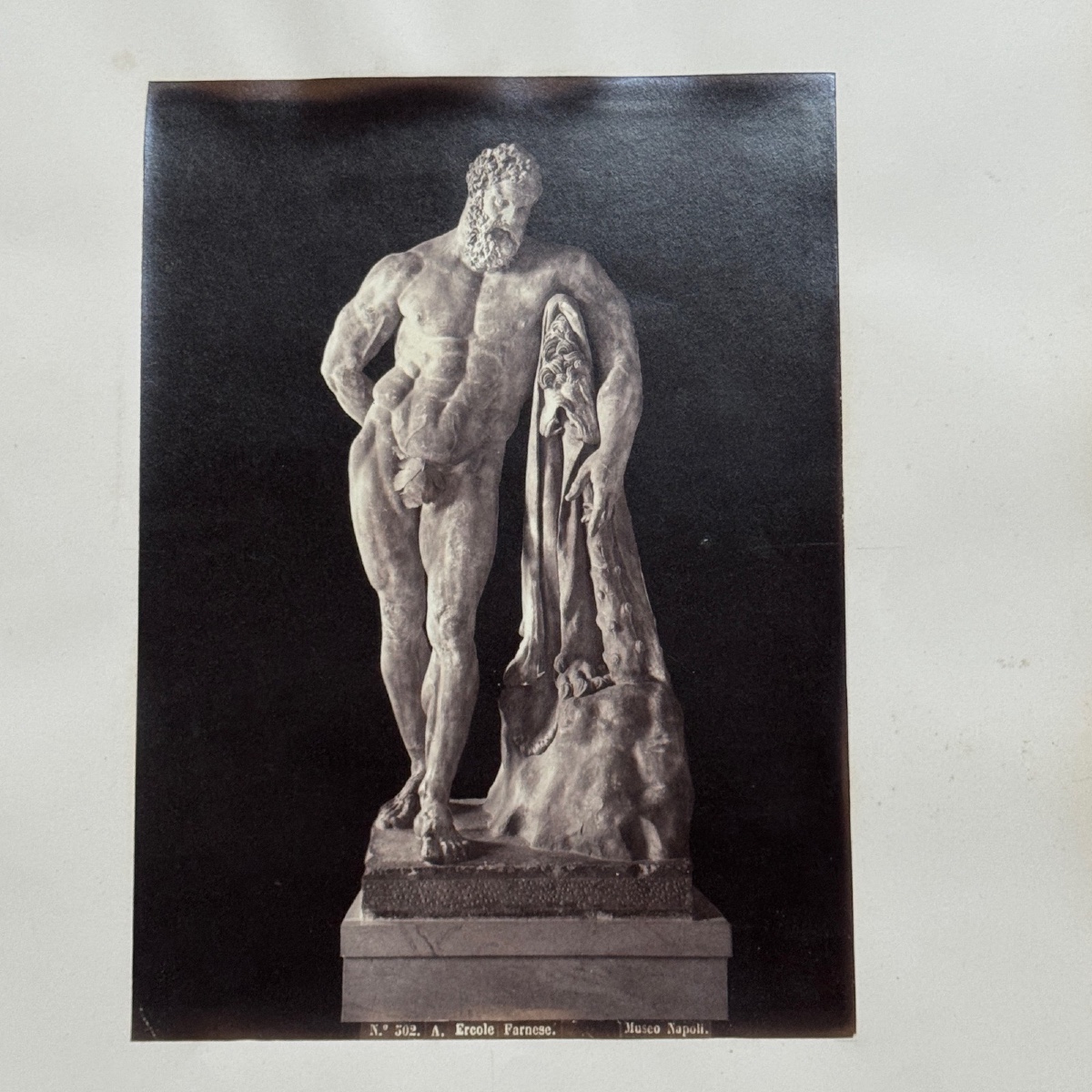 Photo albumine contrecollée sur carton représentant l'Hercule Farnèse XIXe 