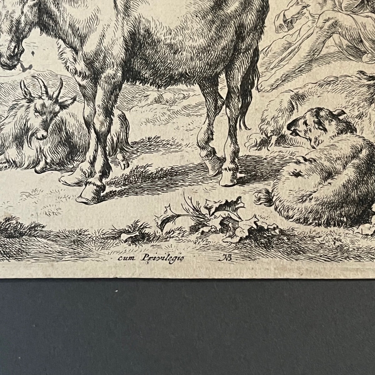 Engraving By Berchem Nicolaes Pietersz (1620-1683) Depicts A Donkey 17th Century-photo-3