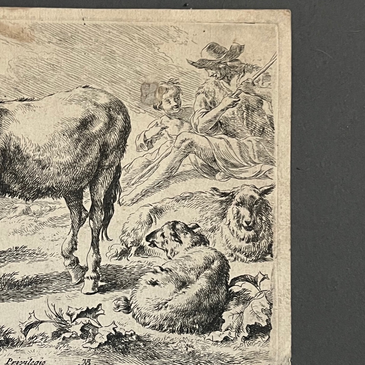 Engraving By Berchem Nicolaes Pietersz (1620-1683) Depicts A Donkey 17th Century-photo-4