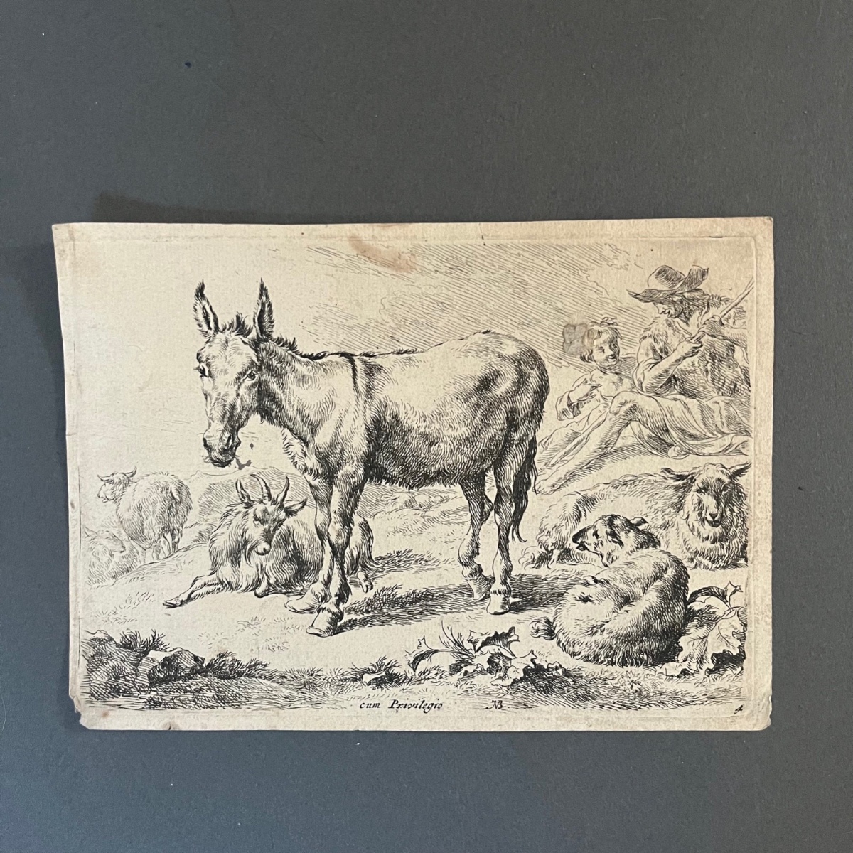 Engraving By Berchem Nicolaes Pietersz (1620-1683) Depicts A Donkey 17th Century