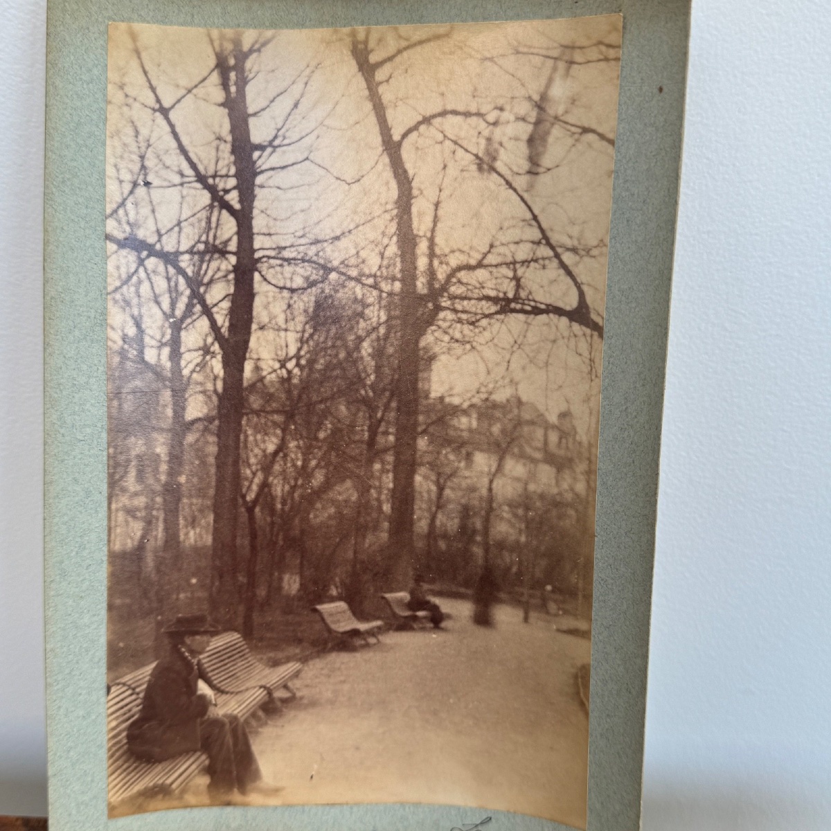 Albumen Photo Mounted On Cardboard Le Jardin Du Luxembourg 19th Century-photo-2