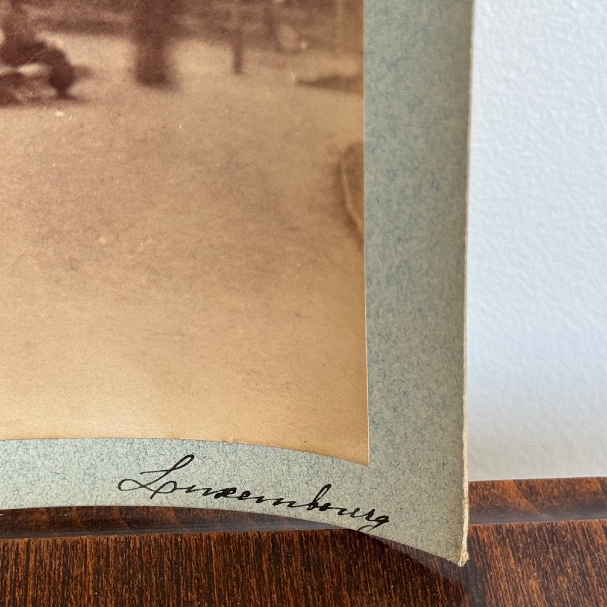 Albumen Photo Mounted On Cardboard Le Jardin Du Luxembourg 19th Century-photo-3