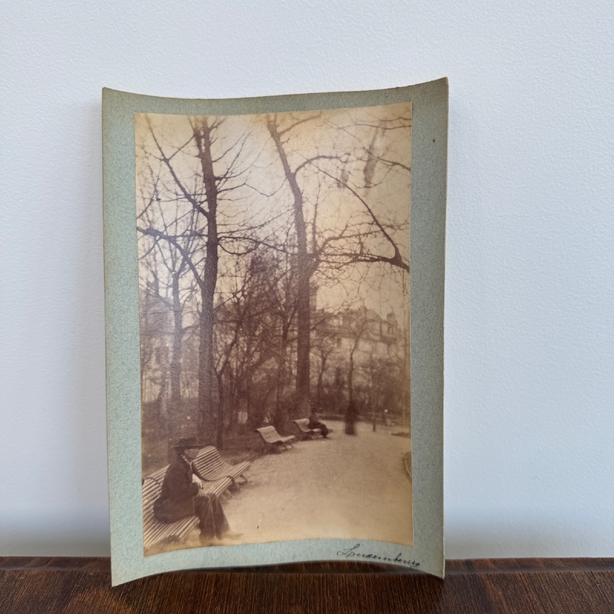 Albumen Photo Mounted On Cardboard Le Jardin Du Luxembourg 19th Century-photo-1