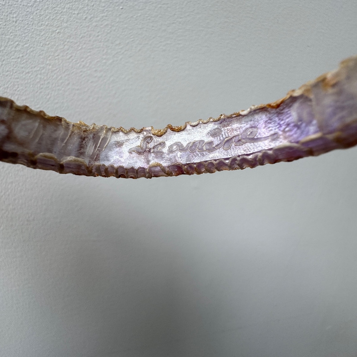 20th Century Talosel Bracelet In The Line Vautrin Style-photo-4