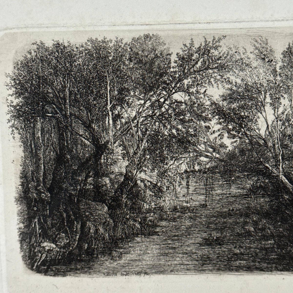 Antique Etching By Rodolphe Bresdin, -photo-1