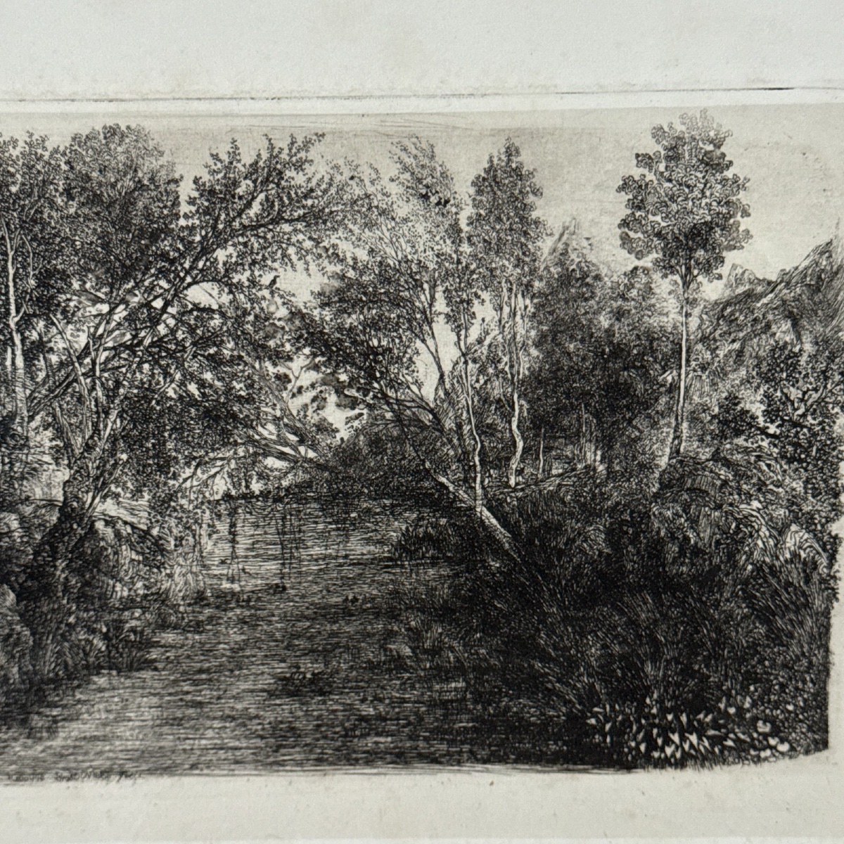 Antique Etching By Rodolphe Bresdin, -photo-2