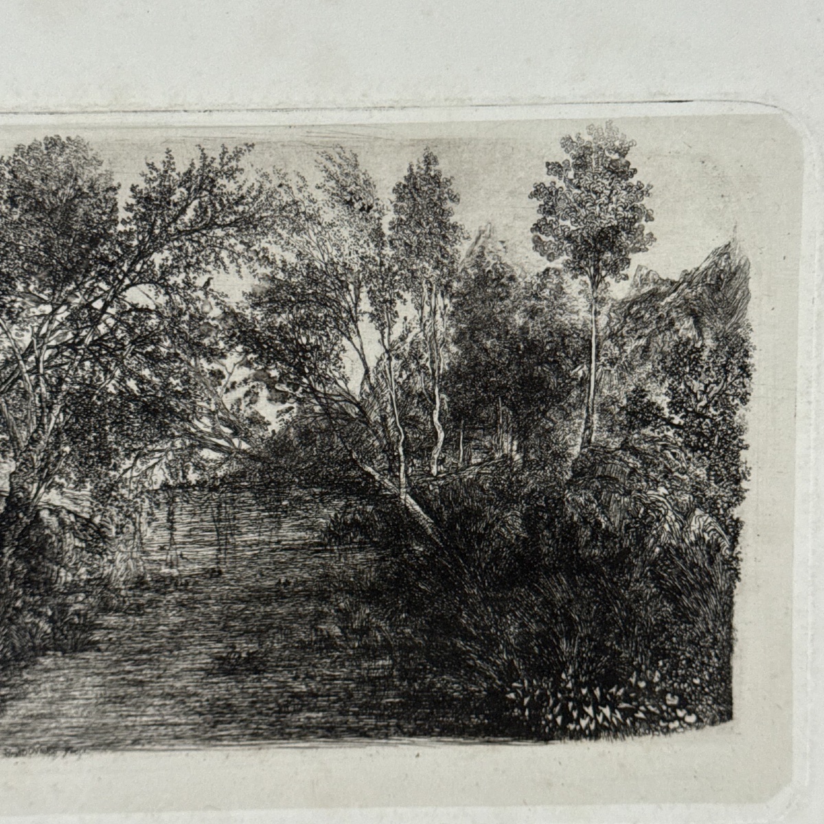Antique Etching By Rodolphe Bresdin, -photo-3