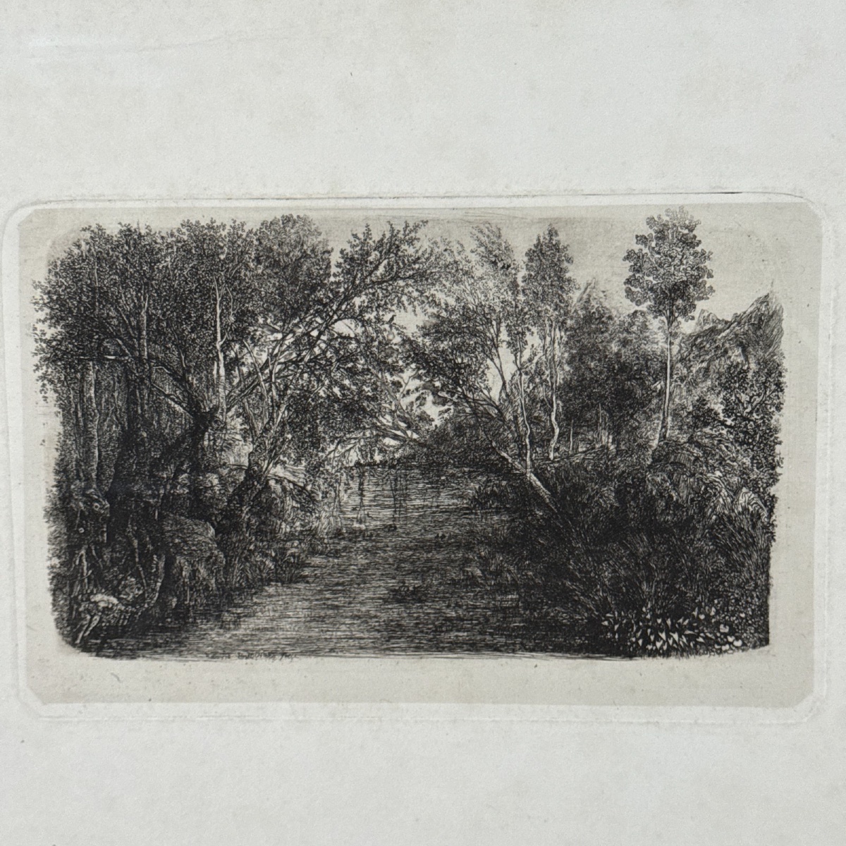 Antique Etching By Rodolphe Bresdin, 