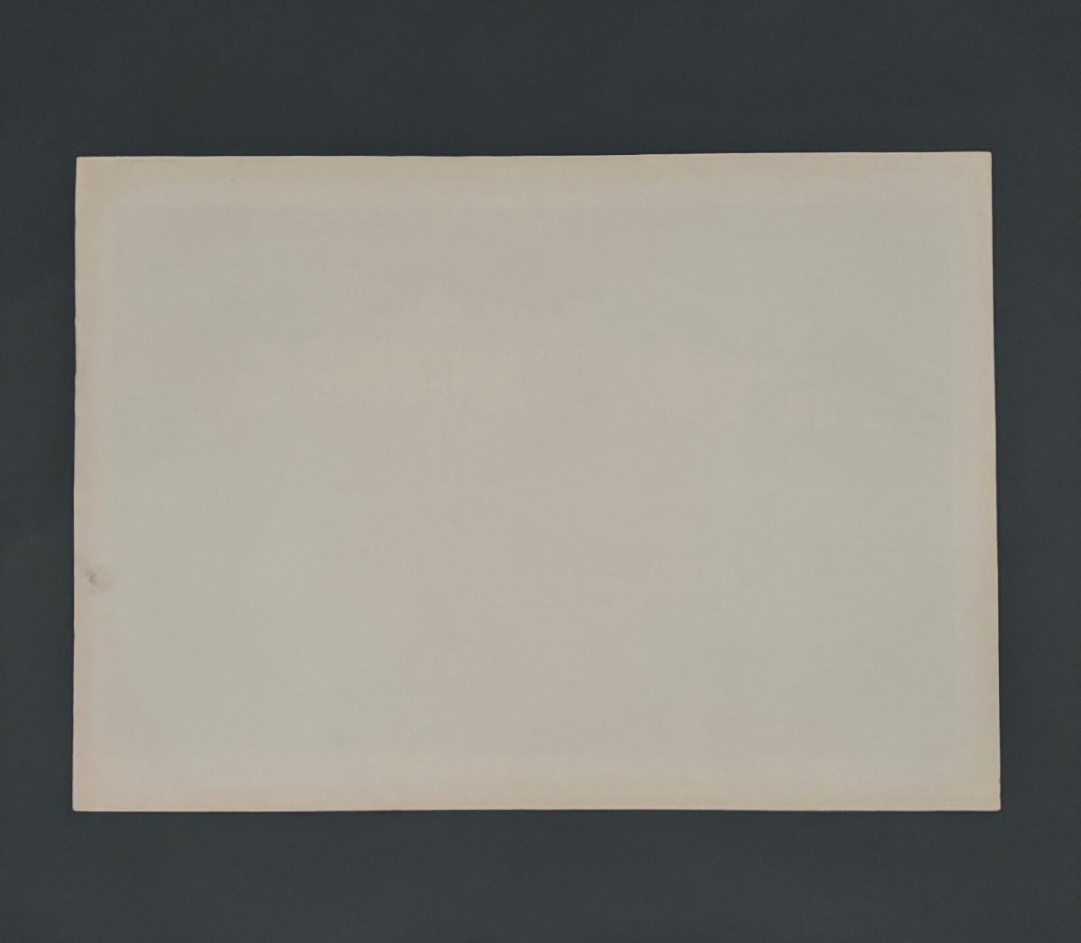 Lithograph By Henri Rivière, *aspects Of Nature*—*twilight* -photo-1