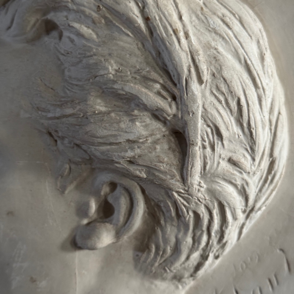 Bas-relief en plâtre d'un homme à moustache du XIXe cadre en velours -photo-5
