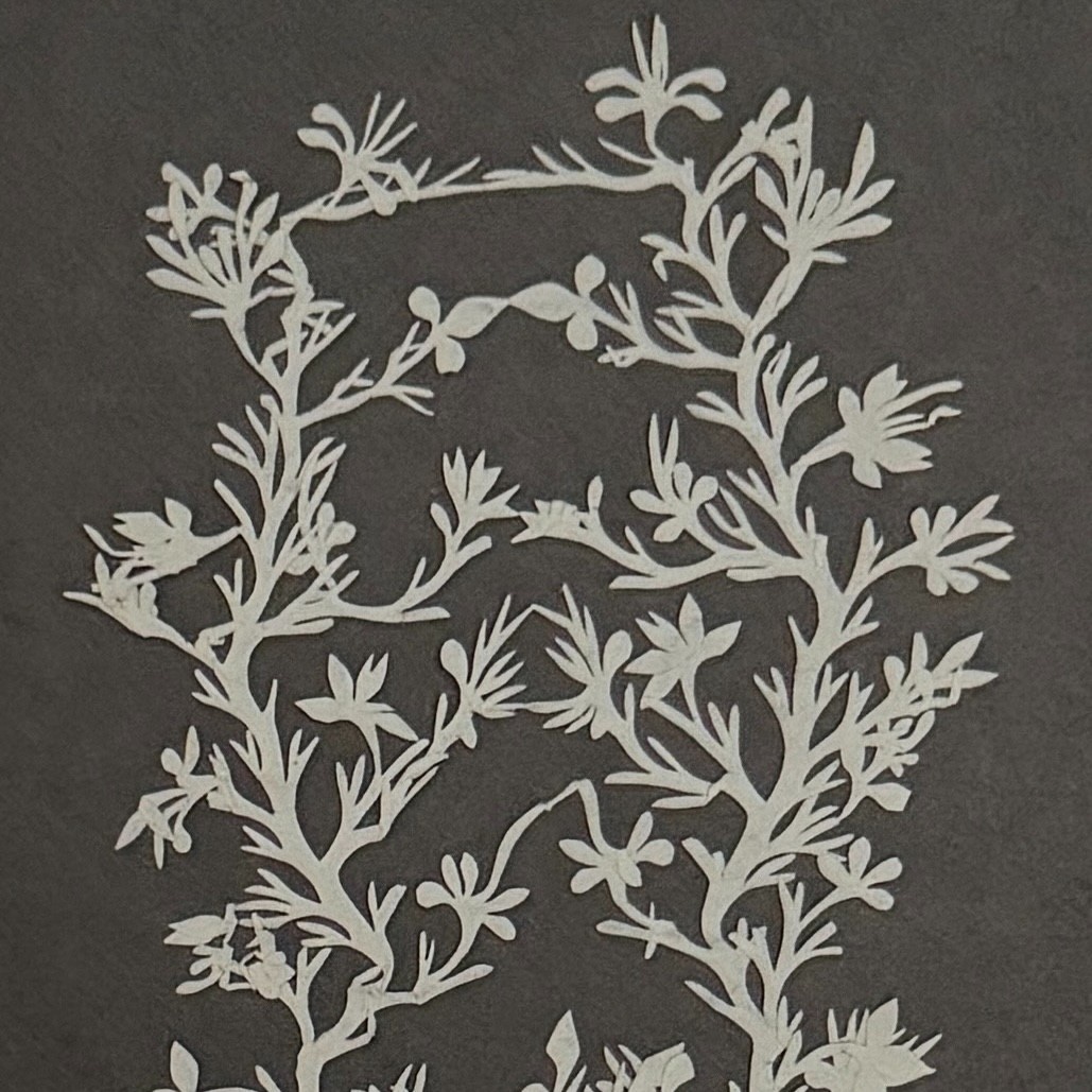 Canivet en dentelle de papier XIXe -photo-4