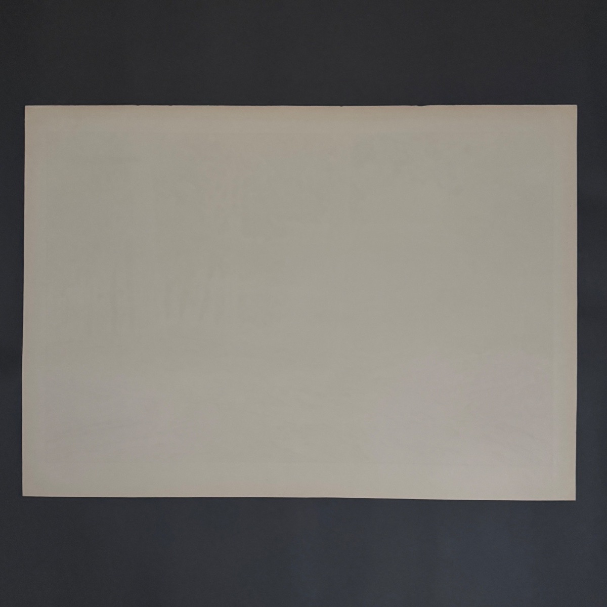 Lithograph By Henri Rivière, *aspects Of Nature*—*the Forest* -photo-5