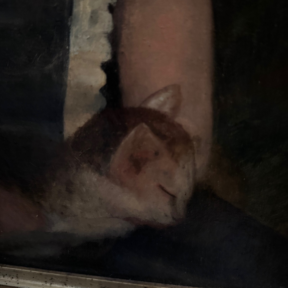 19th-century Oil On Canvas Depicting A Young Child Holding His Cat, In A Gilded Frame-photo-4