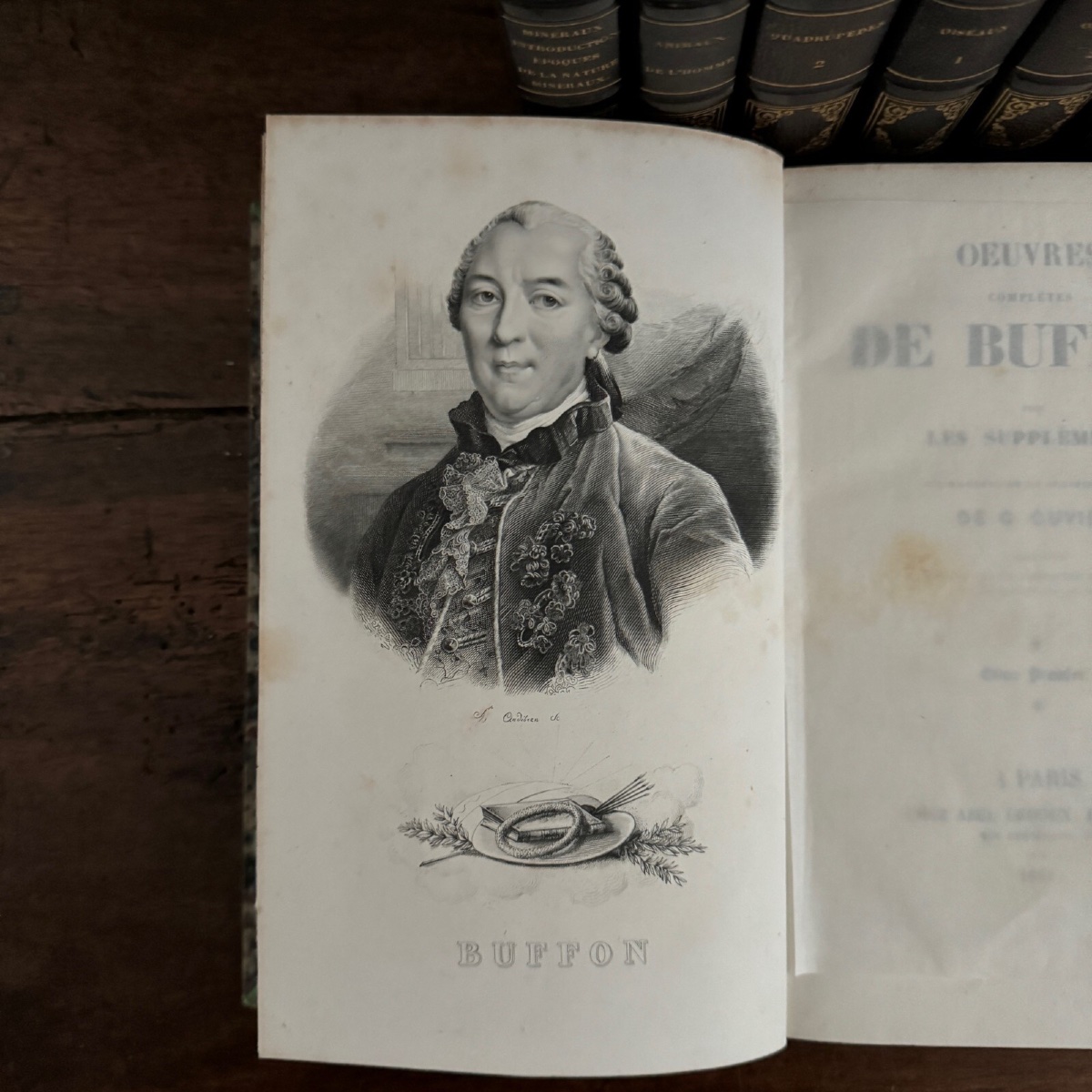 The Complete Works Of Buffon, 7 Volumes With Engravings -photo-4