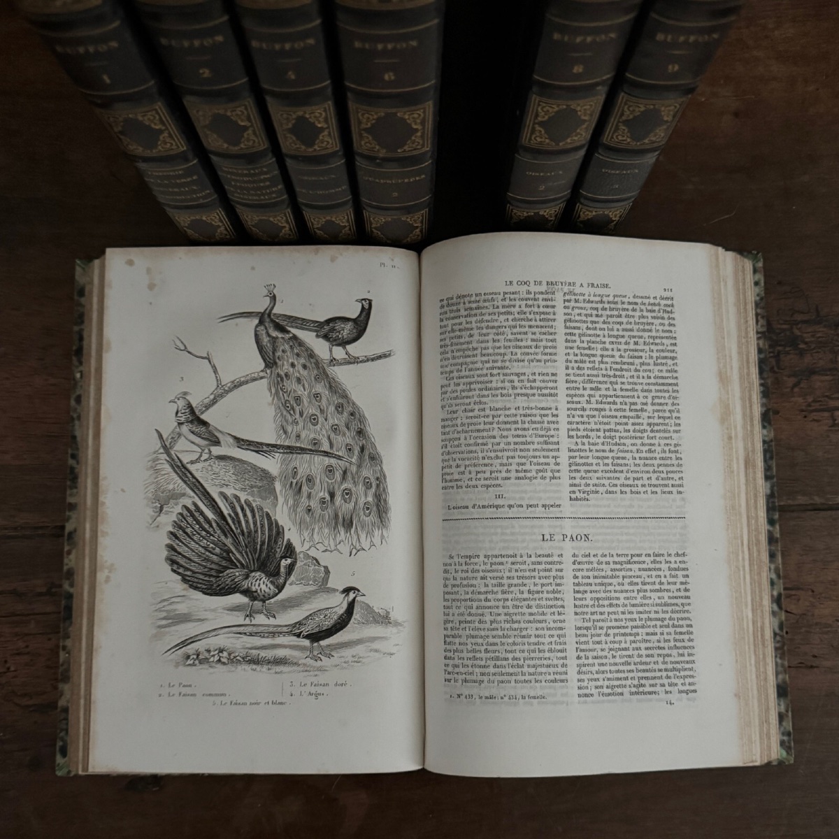The Complete Works Of Buffon, 7 Volumes With Engravings -photo-6