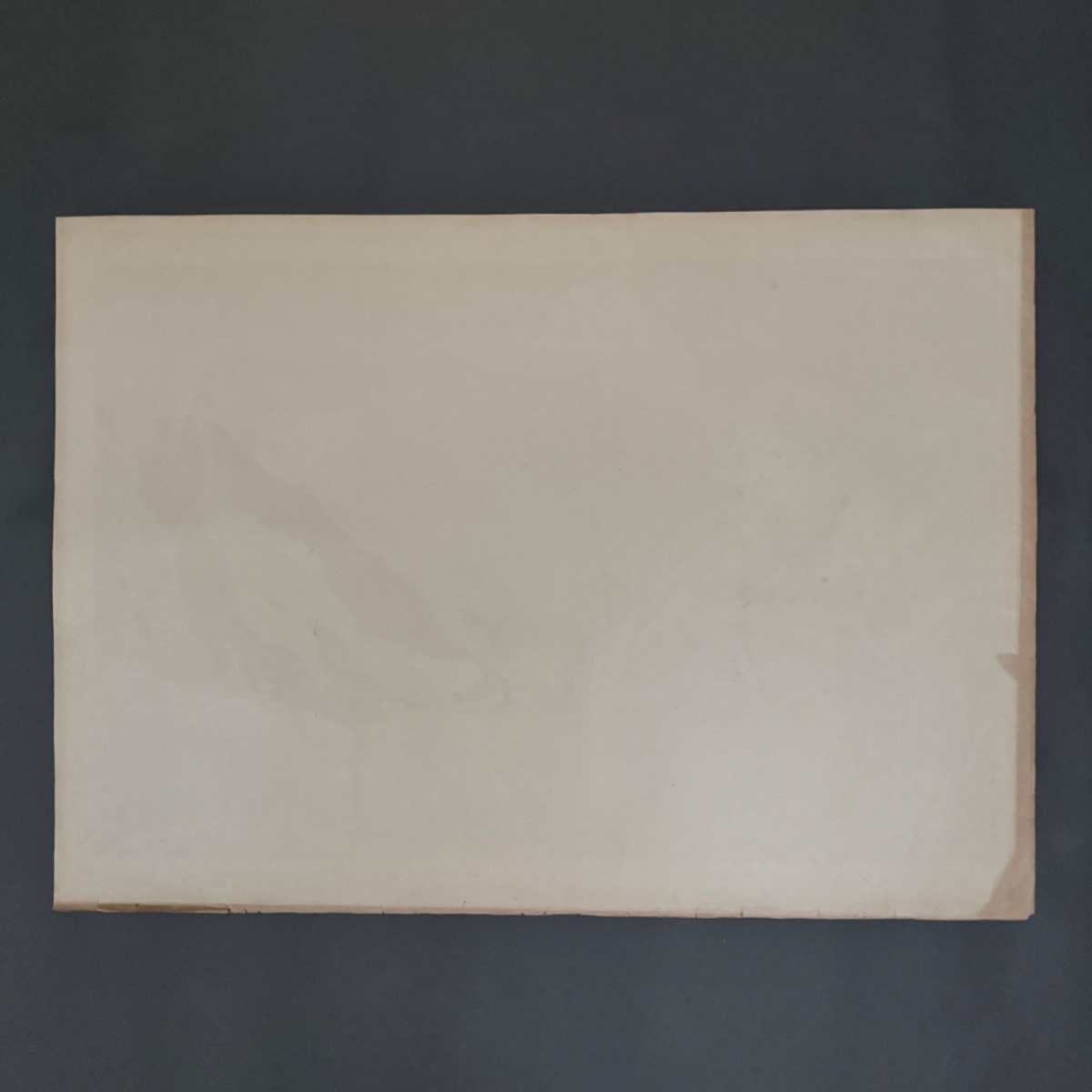 Lithograph By Henri Rivière, *aspects Of Nature*—*the Mountain* -photo-7