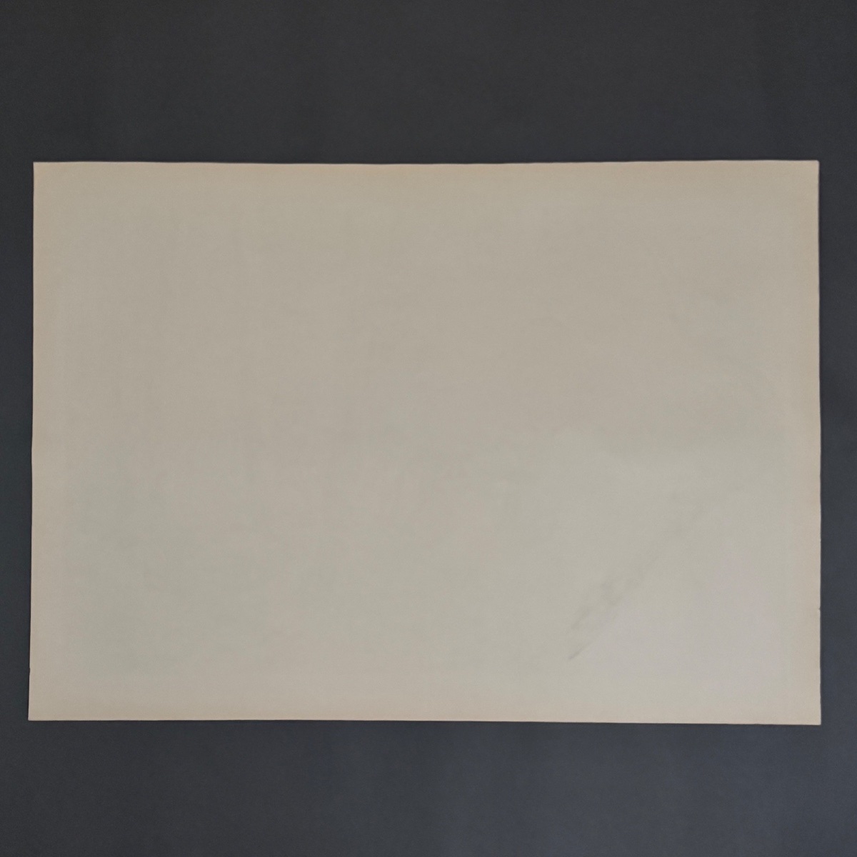 Lithograph By Henri Rivière, *aspects Of Nature*—*summer Evening* -photo-5