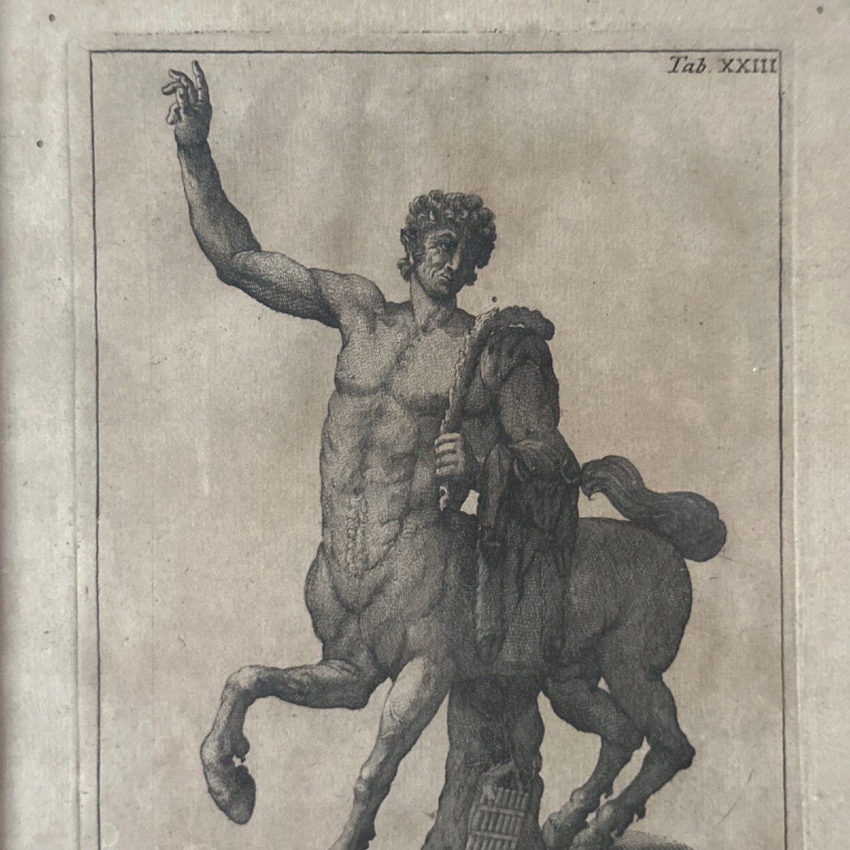 Engraving Depicting An 18th-century Centaur In A Gilded Frame -photo-3
