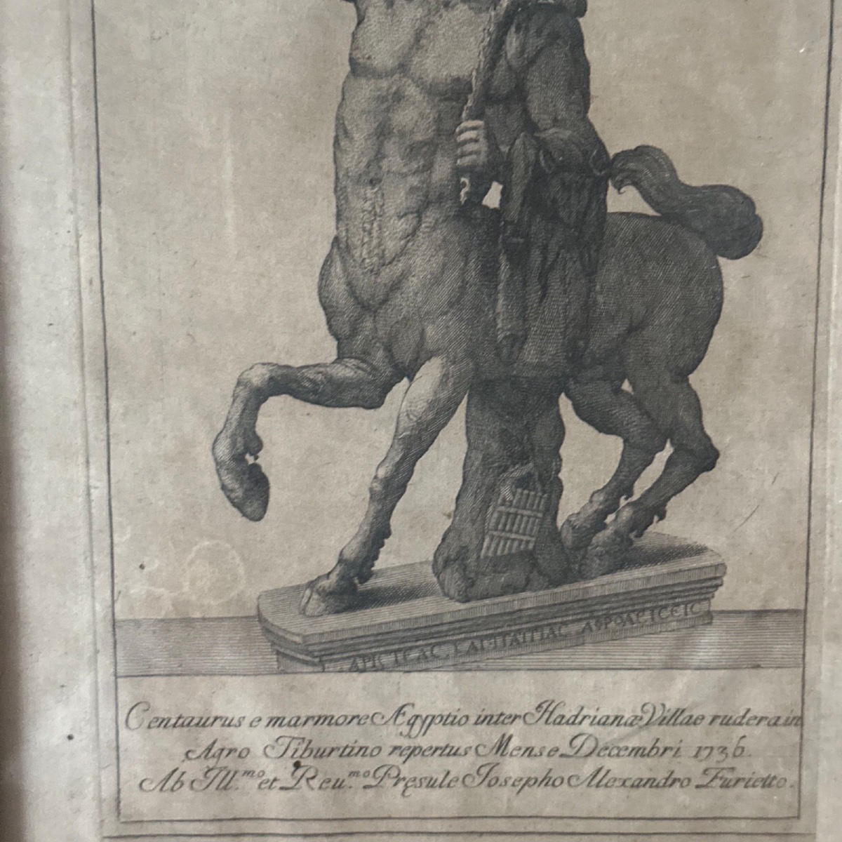 Engraving Depicting An 18th-century Centaur In A Gilded Frame -photo-4