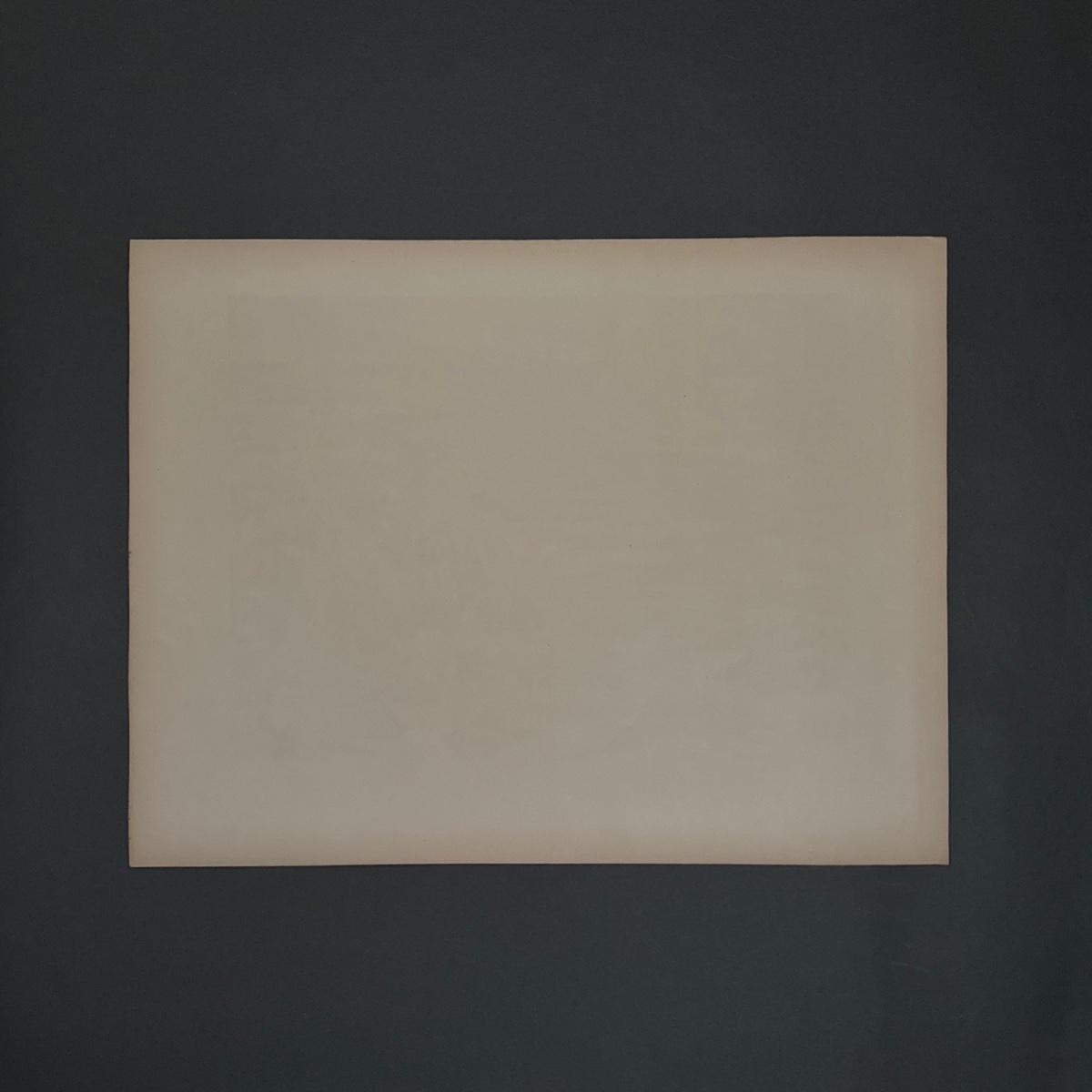 Lithograph By Henri Rivière, *au Vent De Noroît*—*les Mousses*-photo-3