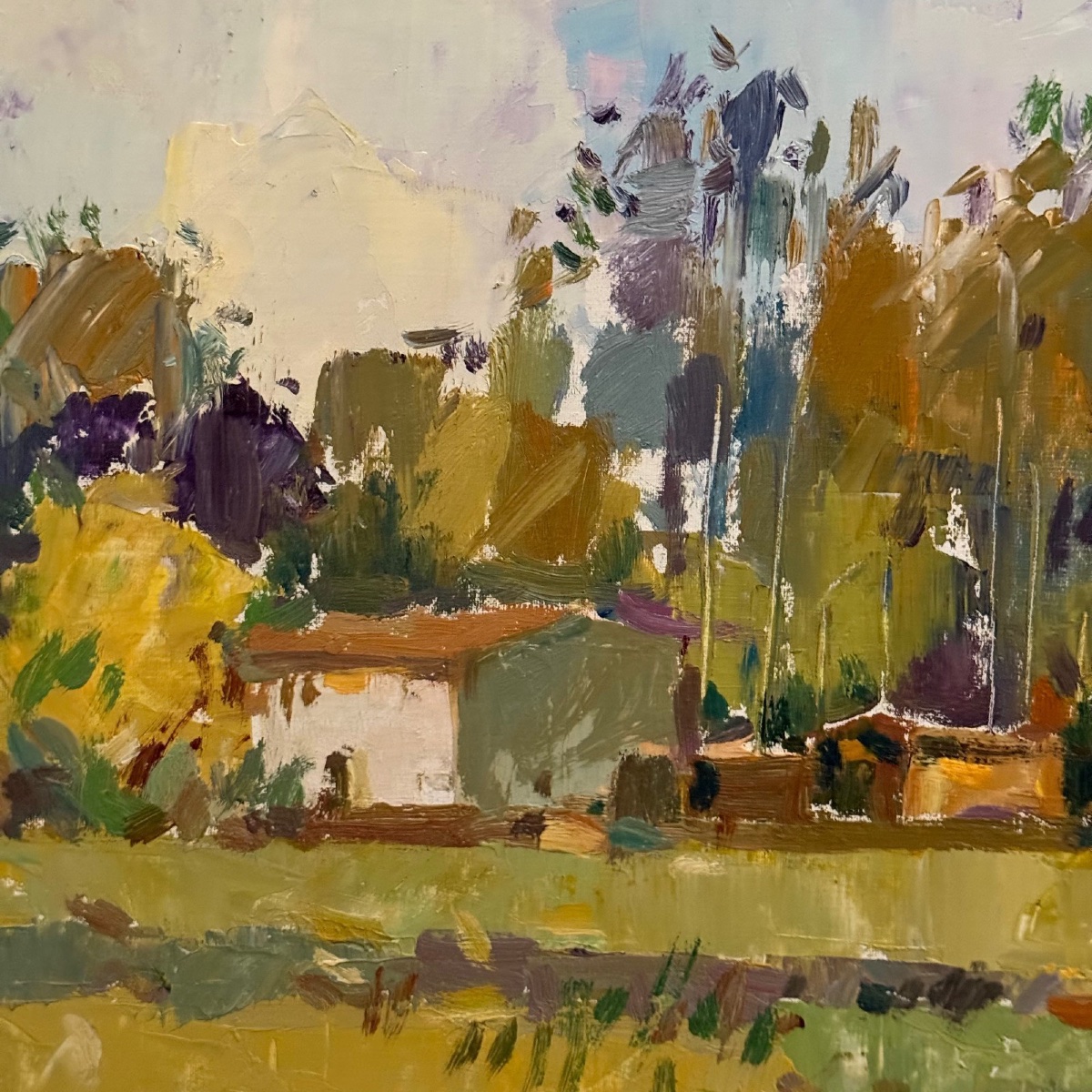 Huile sur toile par A. Eugenia XXe paysage du Sud -photo-2