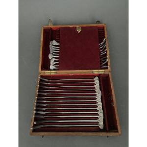 Box Of Urological Probes Benique Candles Surgical Tools