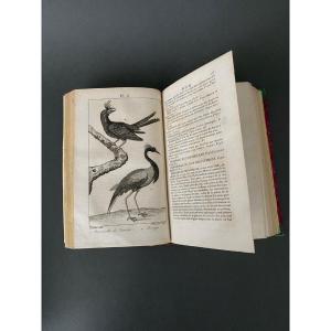 Nouveau Dictionnaire d'Histoire Naturelle 5 tomes Desterville 1803