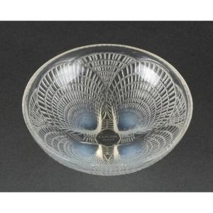 R. Lalique Opalescent Scallop Shell Cup Numbered 3204