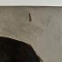 1600174-689d8a15ee106.jpg