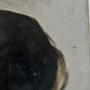 1600174-alb-689d8a28cf099.jpg