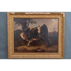 Oil On Canvas Bull Rubbing Itself Against A Tree After Brascassat