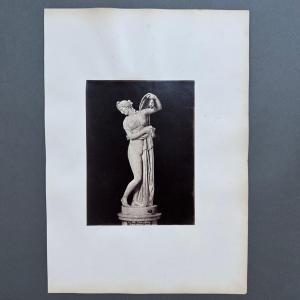 Albumen Photo On Cardboard Of Venus Callipygeus 19th Century