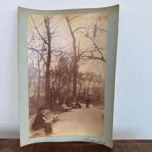 Albumen Photo Mounted On Cardboard Le Jardin Du Luxembourg 19th Century