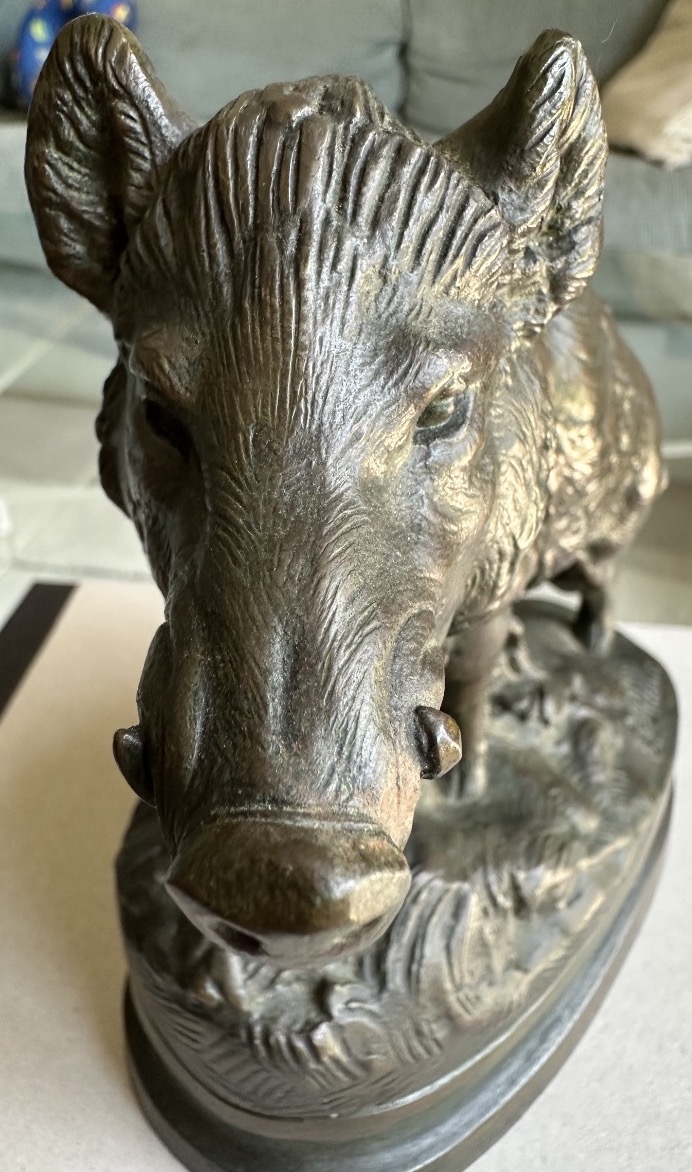 Sanglier-photo-2