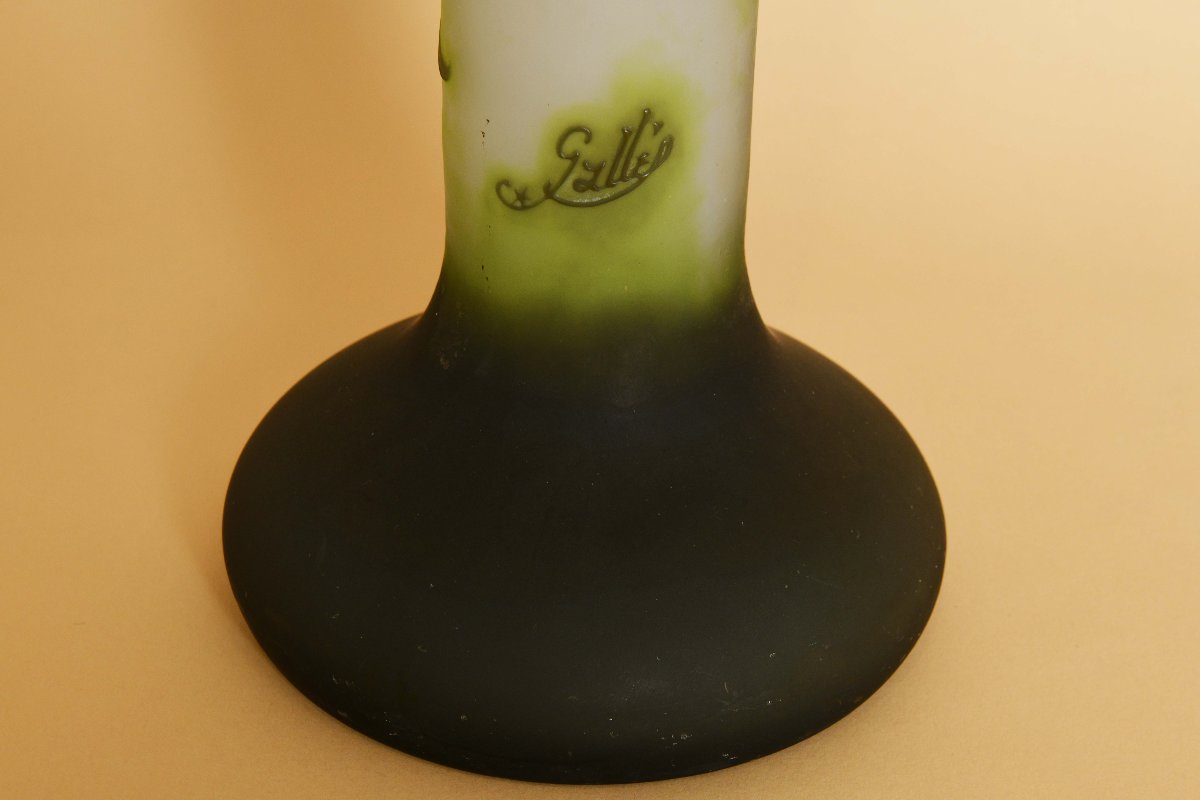 Vase Emile gallé-photo-1