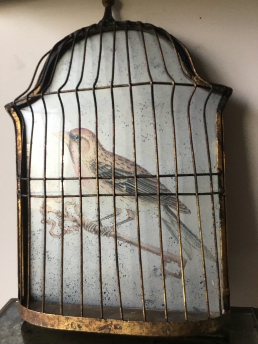 Cage à Oiseau En Trompe-l'oeil-photo-4