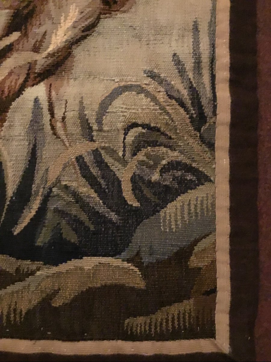 Aubusson, Fragment Of Tapestry, The Herons And The Frog-photo-4