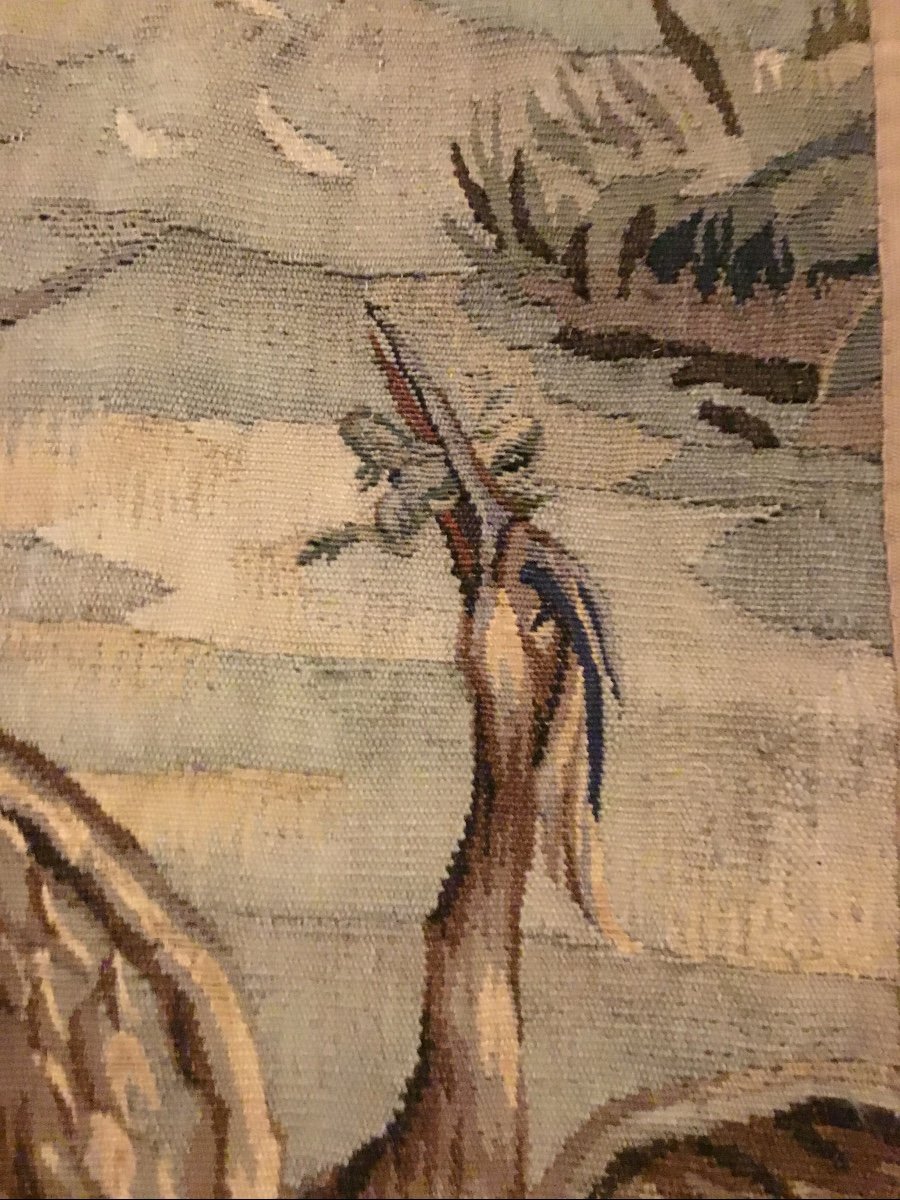 Aubusson, Fragment Of Tapestry, The Herons And The Frog-photo-6