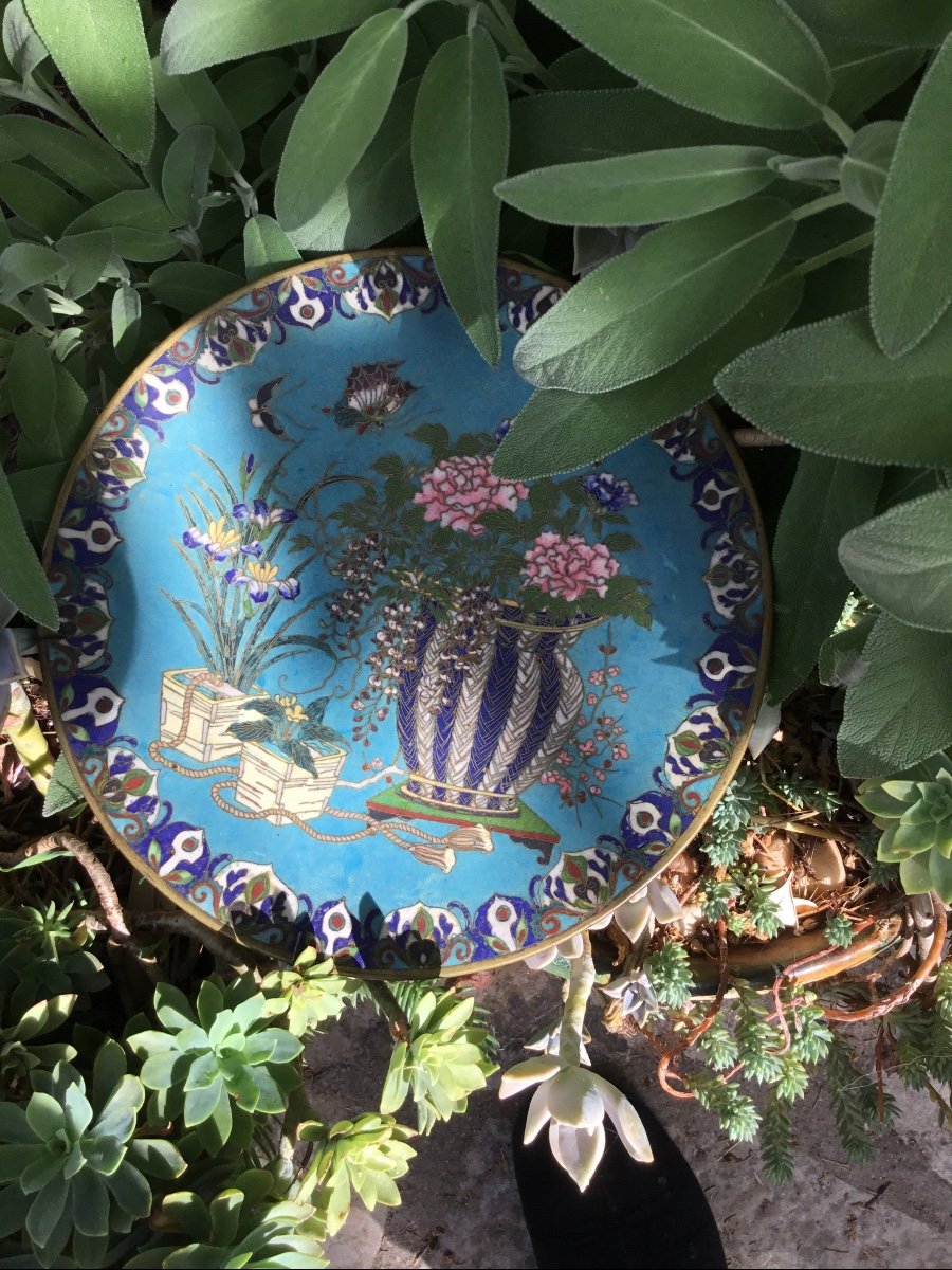 Assiette En émaux Cloisonnés Japon , XIXe Siècle-photo-4