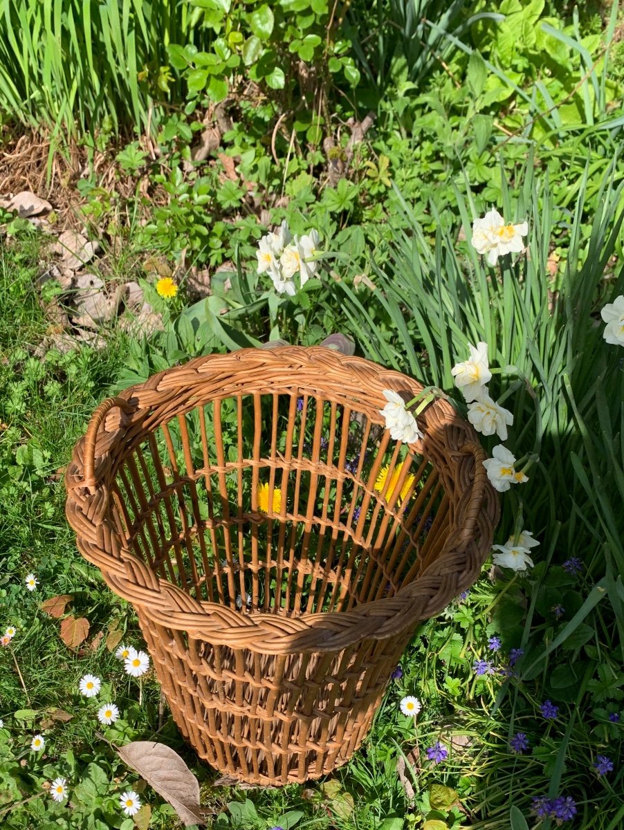 Wastebasket, All In Woven Wicker-photo-4