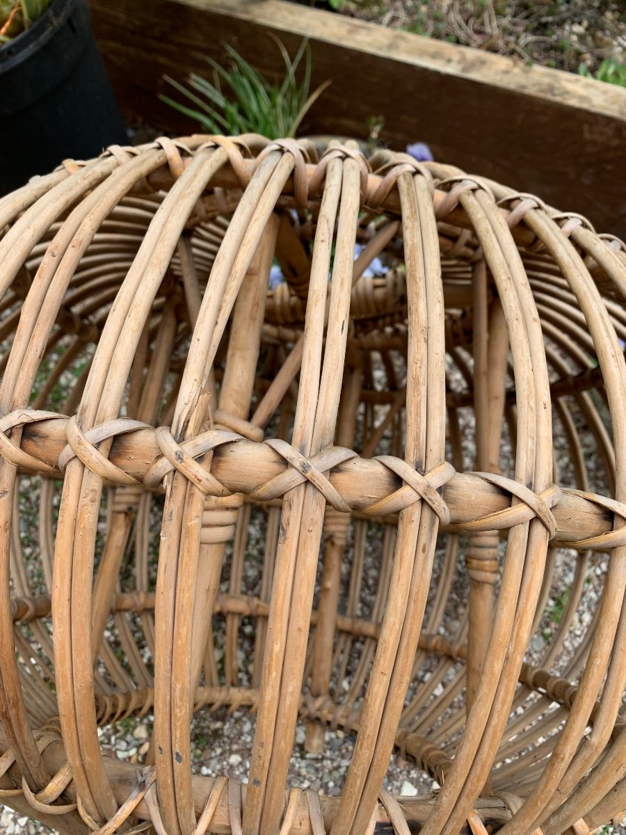 Tabouret / Ottoman En Rotin Franco Albini 1960-photo-8