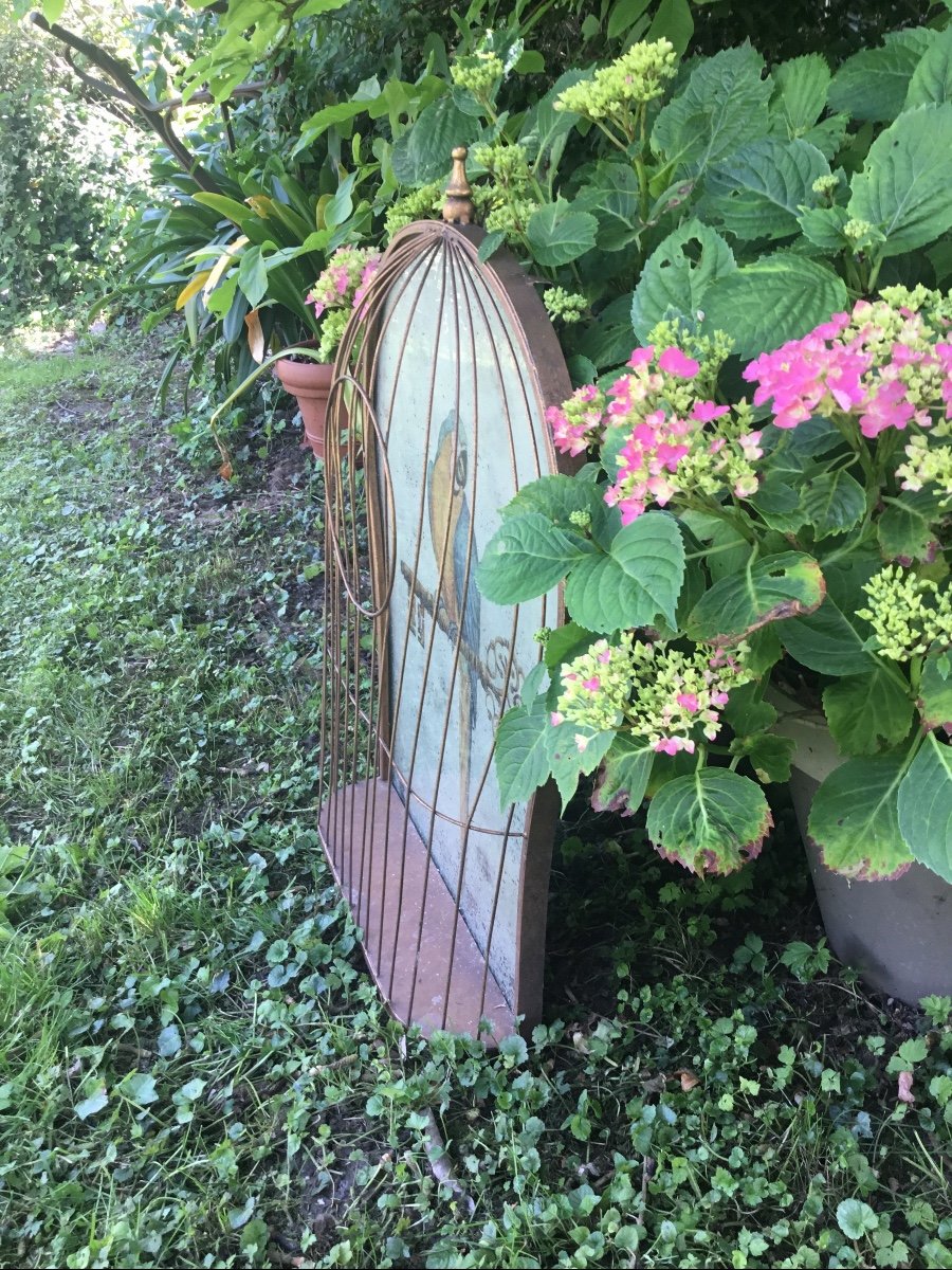 Trompe-l'oeil Bird Cage Decorated With A Parrot-photo-5