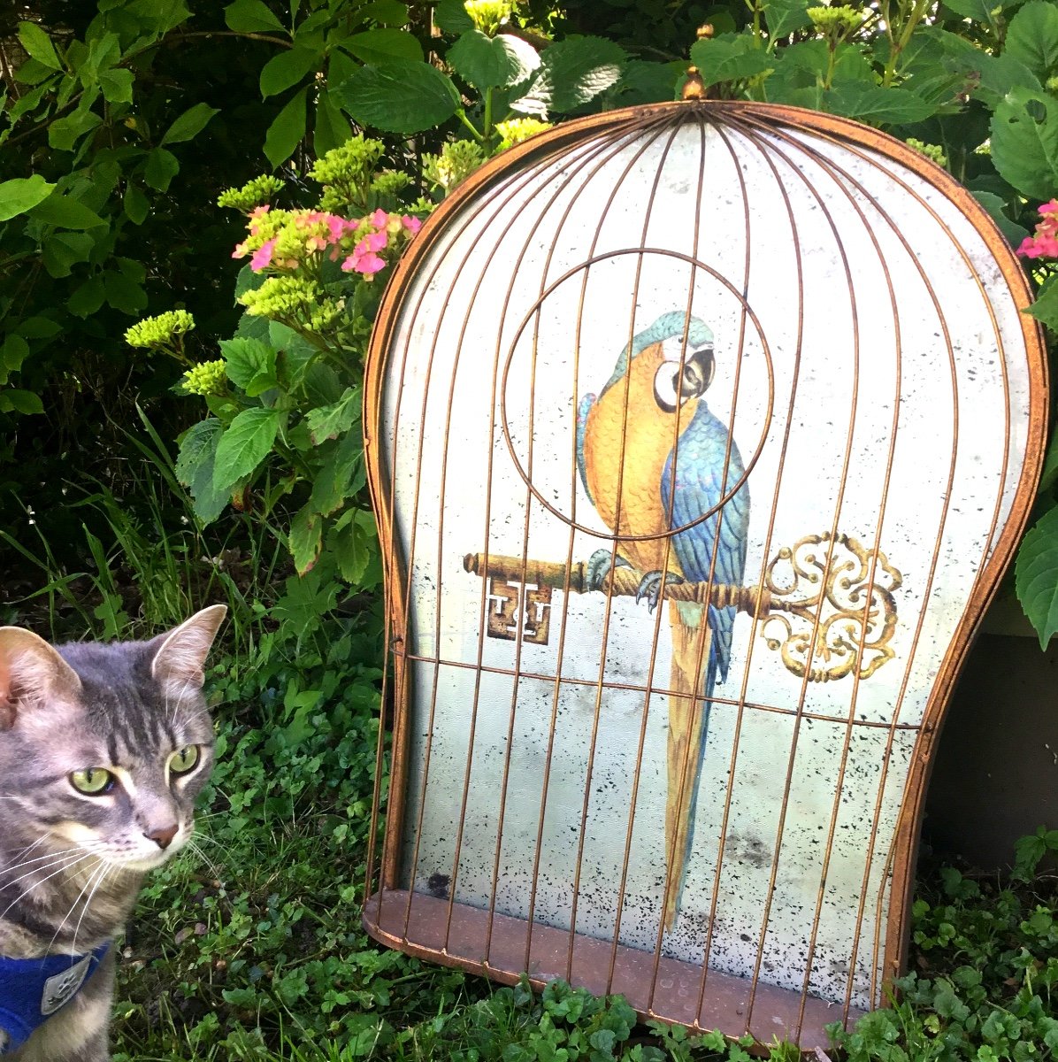 Trompe-l'oeil Bird Cage Decorated With A Parrot