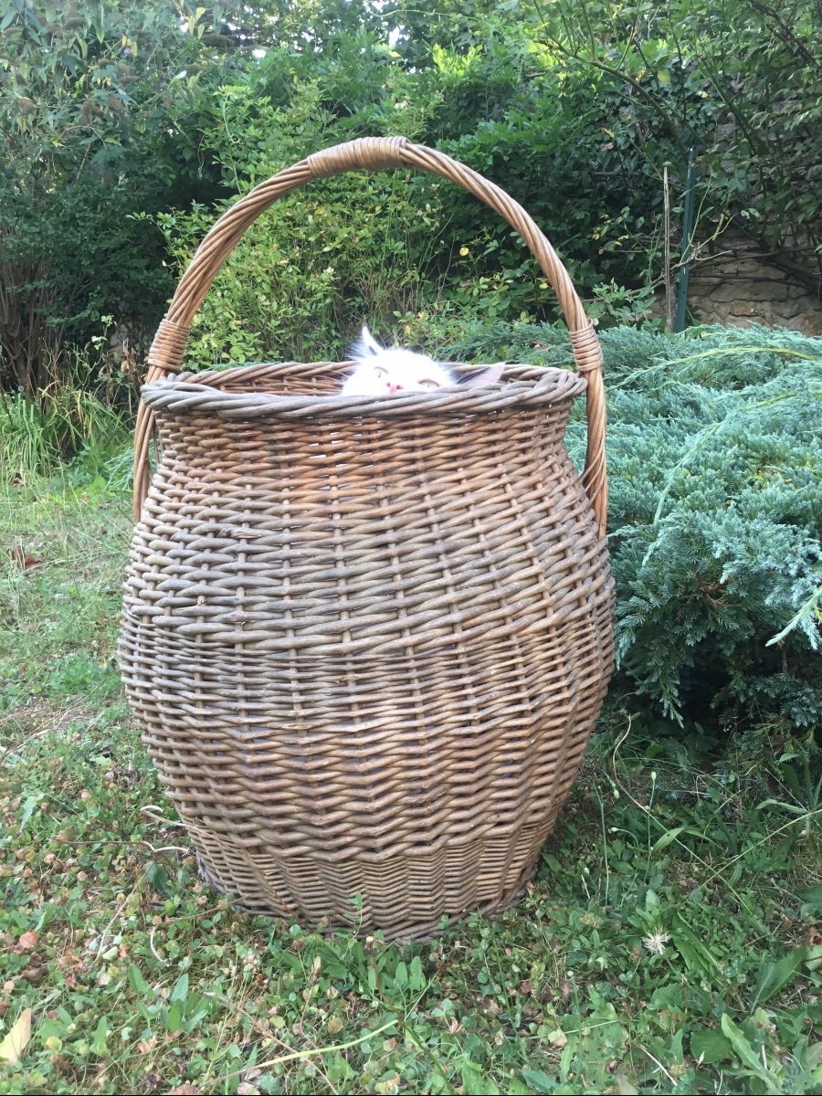 Important Folk Art Handle Basket -photo-2