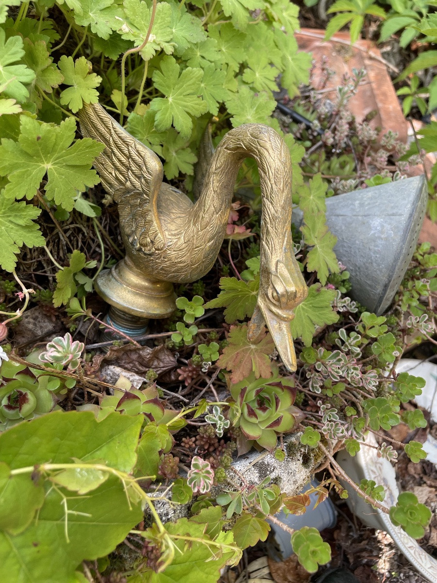 Robinet décoratif en bronze doré Cygne -photo-4