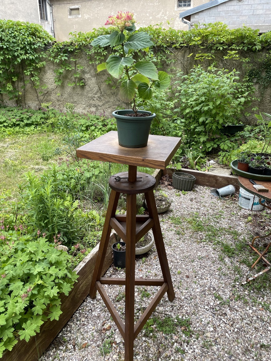 Haute Sellette d’atelier de sculpteur en chêne-photo-3