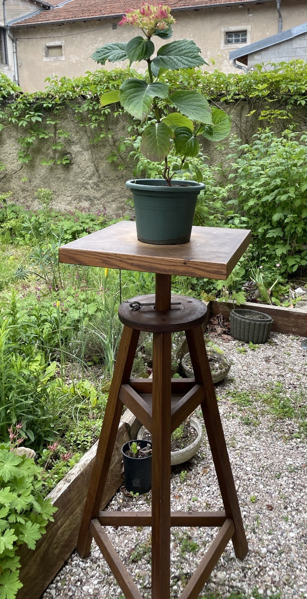 Haute Sellette d’atelier de sculpteur en chêne