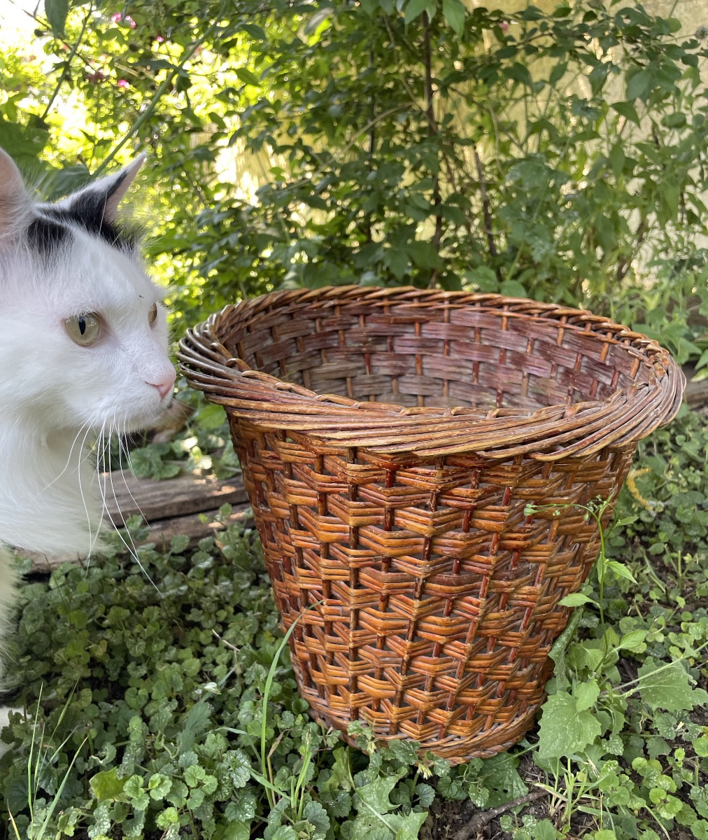 Woven Wicker Wastepaper Basket, Circa 1950