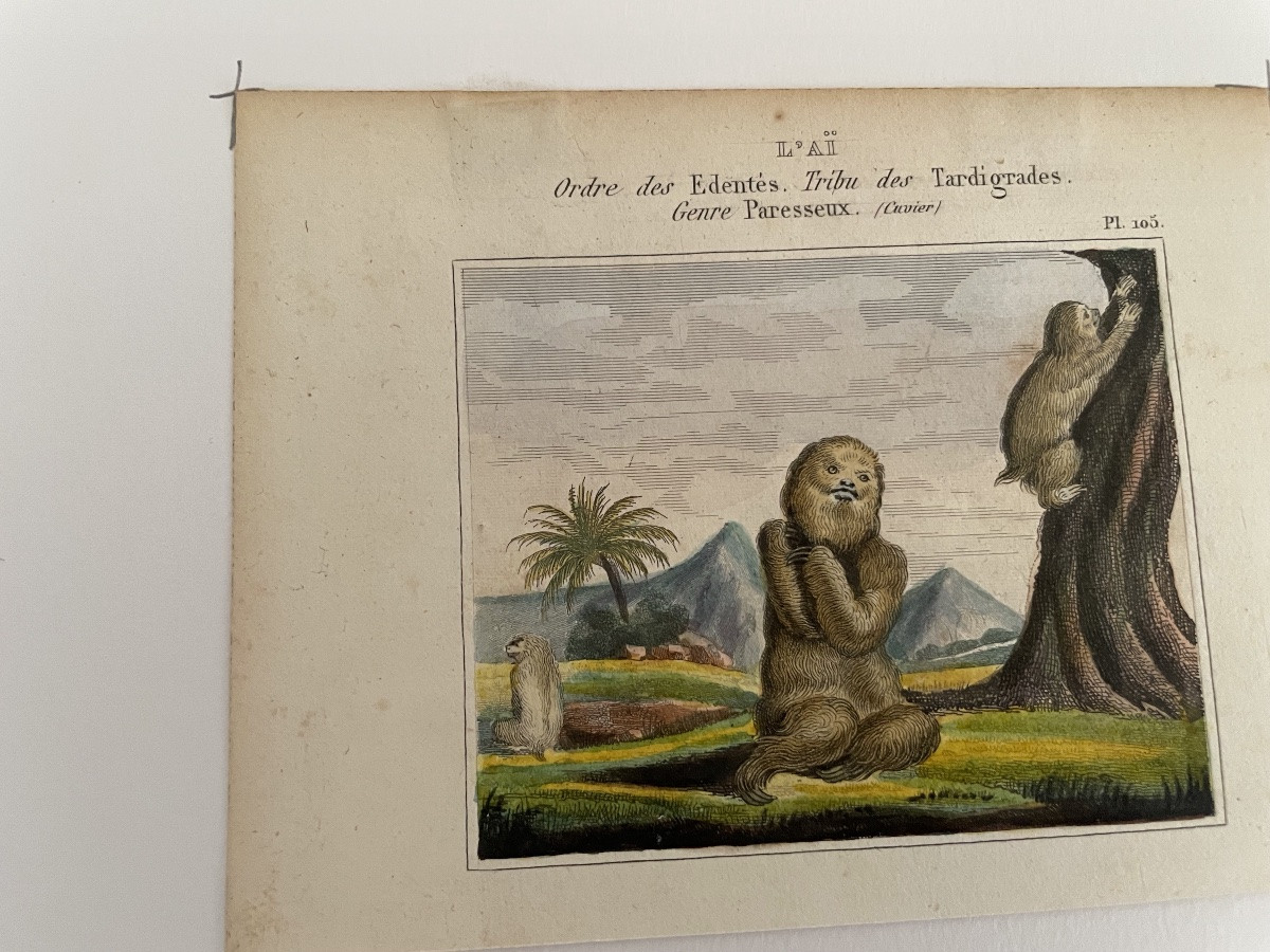 The Series Of 4 Small Monkey Engravings -photo-3